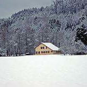 Gites Chambres Dhotes Vosges 88 GITE A 15MN DE GERARDMER AU PIED DE L'ALSACE