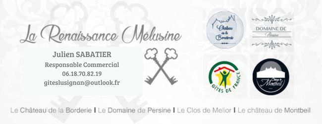 Gites Chambres Dhotes Vienne 86 VILLA 380m² 6 chambres 14 couchages