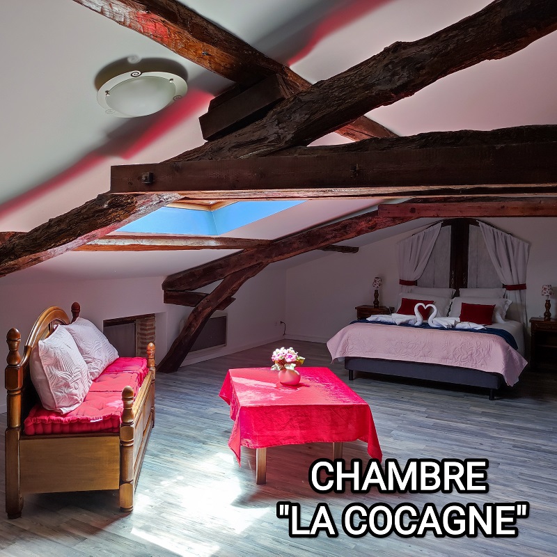 Gites Chambres Dhotes Tarn 81 FLEUR DE PASTEL, GÎTE DE CARACTERE 4 EPIS