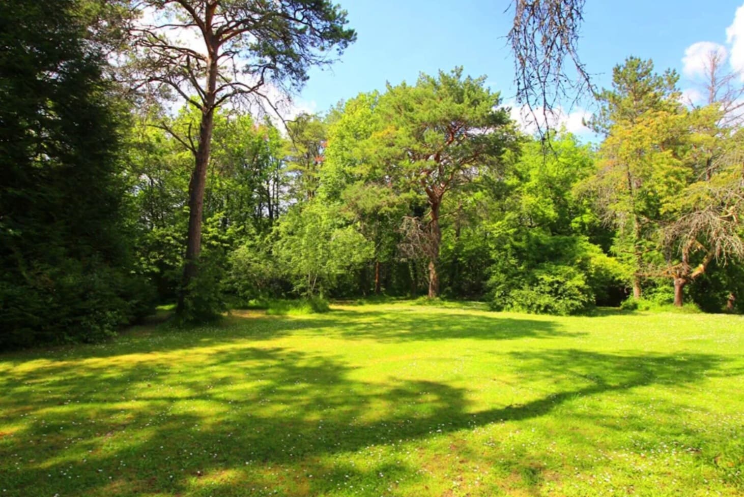 Gites Chambres Dhotes Seine-et-Marne 77 Domaine "La Symphonie de la Forêt"