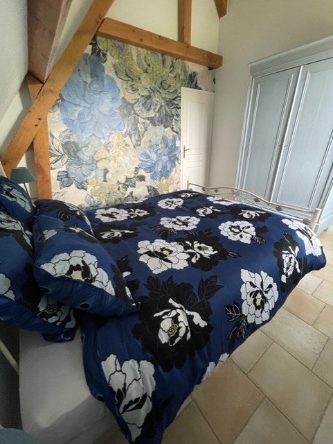Gites Chambres Dhotes Indre-et-Loire 37 Gîtes mitoyens 4* avec piscine intérieure 