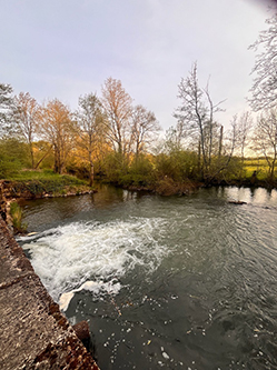 Gites Chambres Dhotes Vienne 86 Moulin du 17ème siècle pour votre évènement