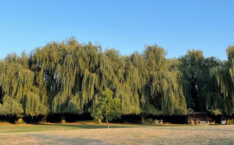 Gites Chambres Dhotes Loiret 45 Les Gîtes de Cormenin 40 couchages dans le Loiret