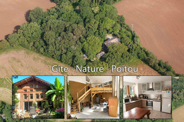 Gites Chambres Dhotes Vienne 86 Gîte 14 pers proche Futuroscope Vienne 86