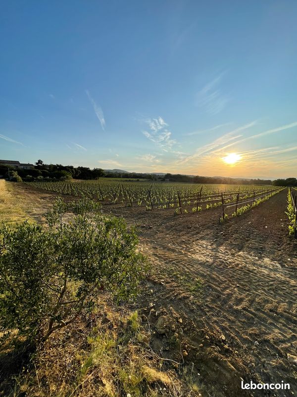 Gites Chambres Dhotes Vaucluse 84 L'Écrin de Vignes : Camp Fourca, Accueil de Groupe
