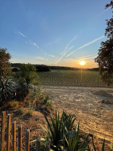 Gites Chambres Dhotes Vaucluse 84 L'Écrin de Vignes : Camp Fourca, Accueil de Groupe